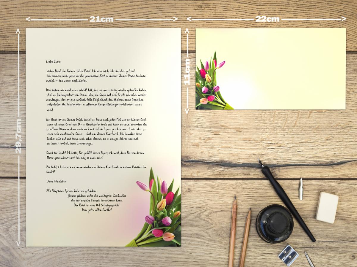 Motivpapier Tulpen im Sonnenlicht Briefpapier mit Motiv